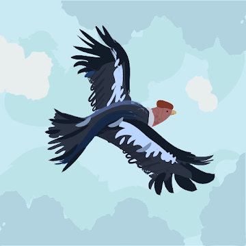 Profilbild von Sebis Kumpel